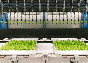 Vertical Farms Tried to Compete With Open Field Farming. It Isn’t Going Well.