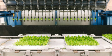 Vertical Farms Tried to Compete With Open Field Farming. It Isn’t Going Well.