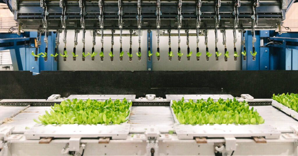 Vertical Farms Tried to Compete With Open Field Farming. It Isn’t Going Well.