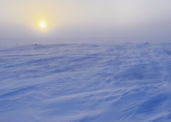 In Canada’s Frozen North, With Canada’s Frozen Soldiers