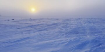 In Canada’s Frozen North, With Canada’s Frozen Soldiers