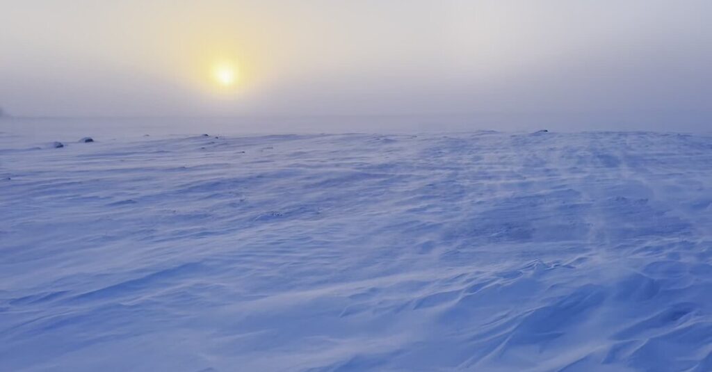 In Canada’s Frozen North, With Canada’s Frozen Soldiers