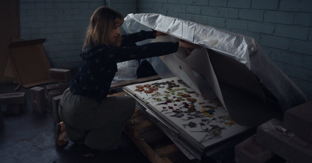 Australia Moves to Memorialize an Atrocity That’s ‘Not History Yet’