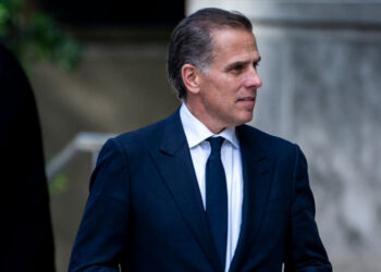 Could a Supreme Court Case Help Hunter Biden Get His Law License Back?