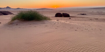 Silence and Sand Dunes on Namibia’s Skeleton Coast