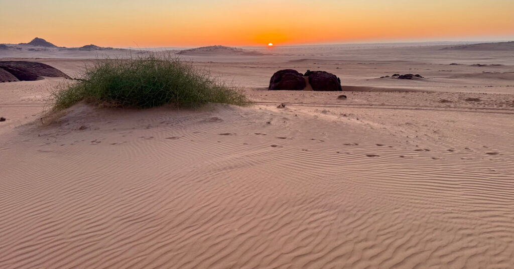 Silence and Sand Dunes on Namibia’s Skeleton Coast