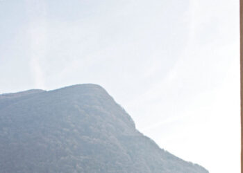 A Watches Connection That Worked Together to Produce the Unusual