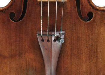 Tree Rings Reveal Origins of Some of the World’s Best Violins