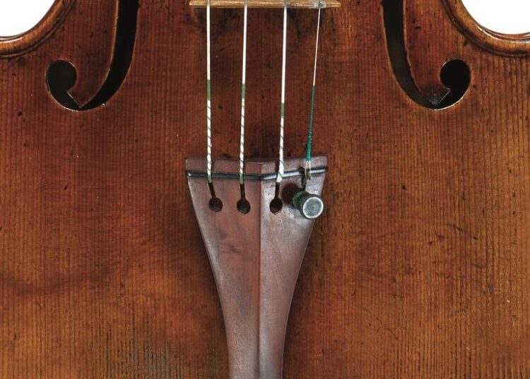 Tree Rings Reveal Origins of Some of the World’s Best Violins