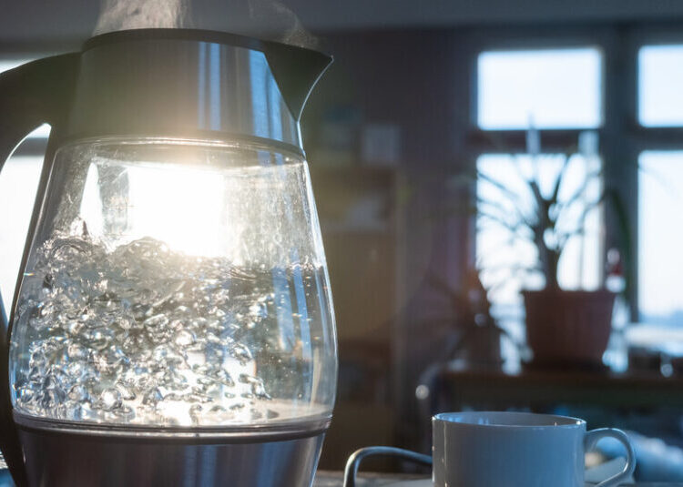 TikTok’s New Favorite Drink? It’s Hot Water.