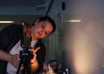 A.I. in New York Schools: What Lies Ahead?