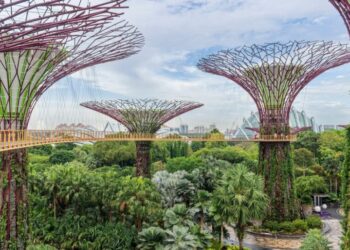 7 Hours in a City? You’ve Got Time to Sightsee.