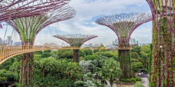 7 Hours in a City? You’ve Got Time to Sightsee.