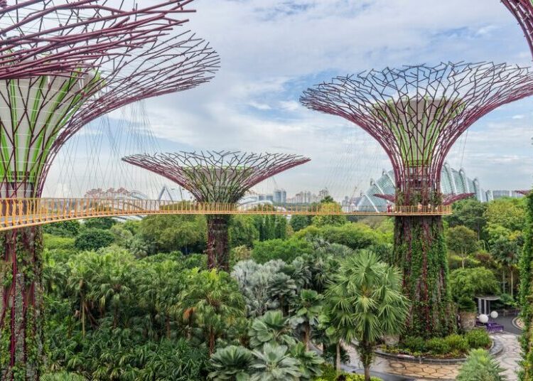 7 Hours in a City? You’ve Got Time to Sightsee.