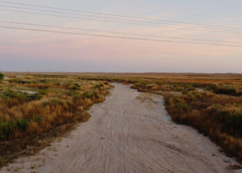 Nature Report, Killed by Trump, Is Released Independently