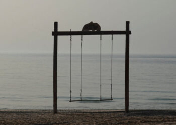 What Is Trump Up To in Iran?