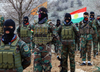 Iranian Kurdish Forces Say They May Enter Iran. Who Are the Kurds?