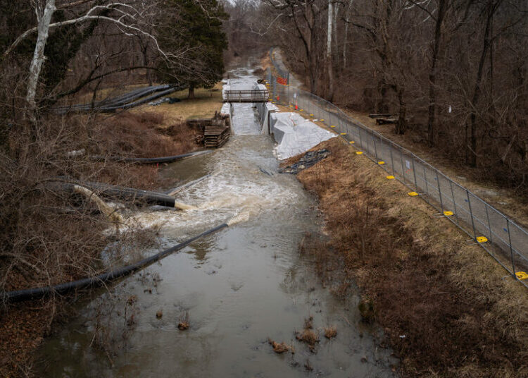 Potomac Is Safe Now, Officials Say. But Locals Still Worry About the Poop.