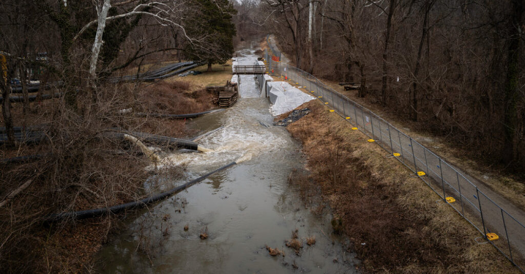 Potomac Is Safe Now, Officials Say. But Locals Still Worry About the Poop.