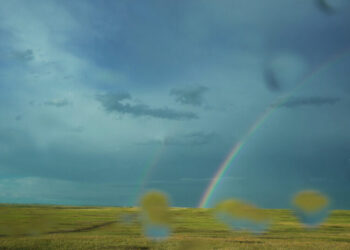 In My Grief I Am Held by the Land