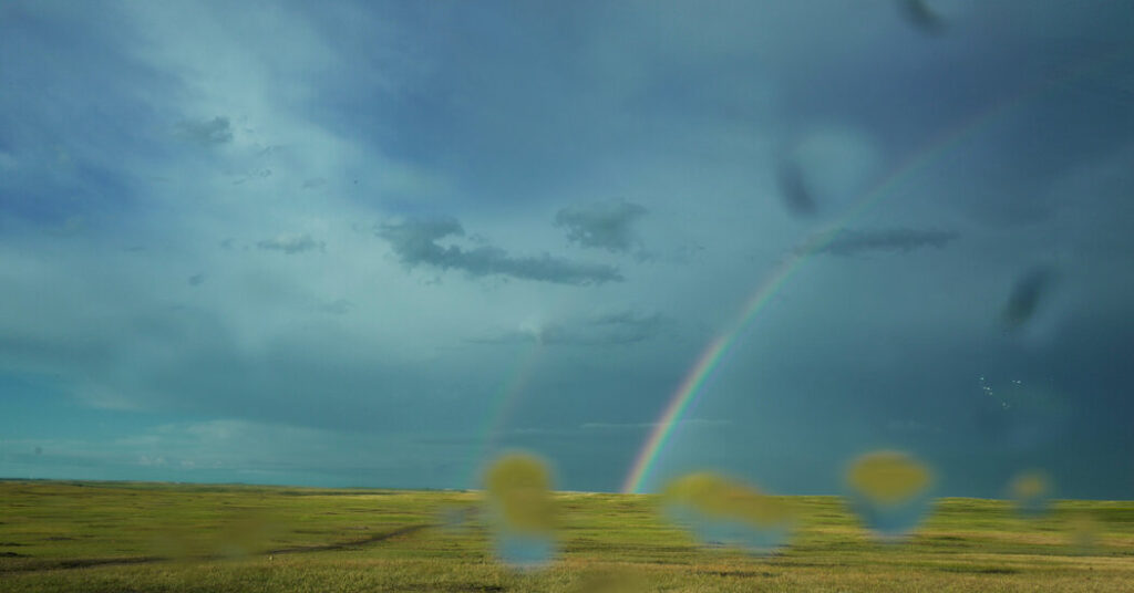 In My Grief I Am Held by the Land