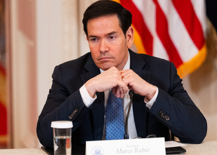 New Lawsuit Challenges Rubio’s Threats Against Foreign Tech Regulators