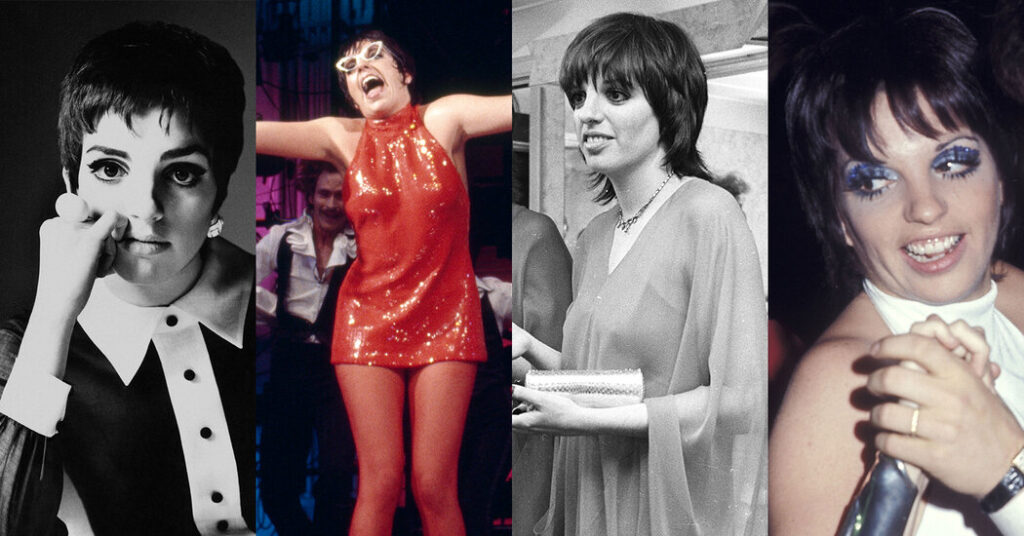 Liza Minnelli: A Visual Dictionary