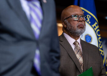 Elections in Mississippi and Georgia Will Provide Clues to Both Parties’ Future