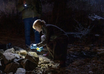 ‘Scarpetta’ Review: A Forensics Genius Finally Gets a Series