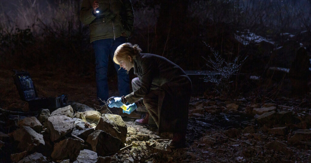 ‘Scarpetta’ Review: A Forensics Genius Finally Gets a Series