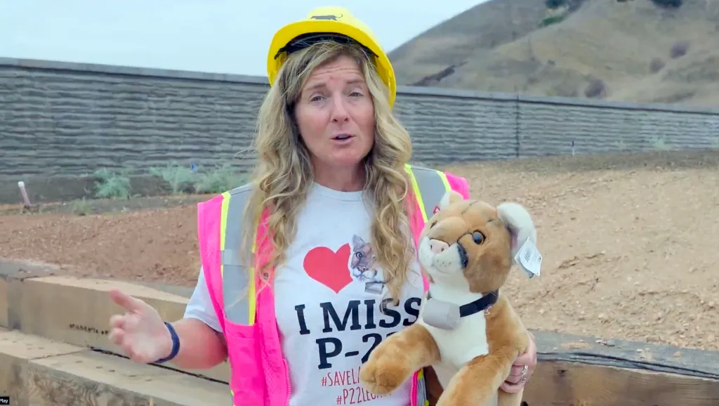 A woman in a construction hat and vest, wearing an 