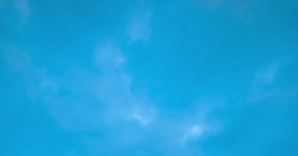 At This Festival, the Dead of Winter Is the Life of the Party