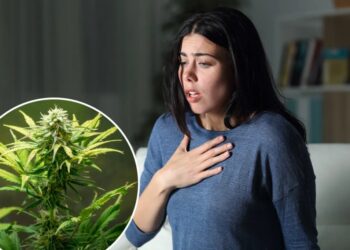 Link between cannabis and anxiety, depression has ‘strengthened over time’: new study