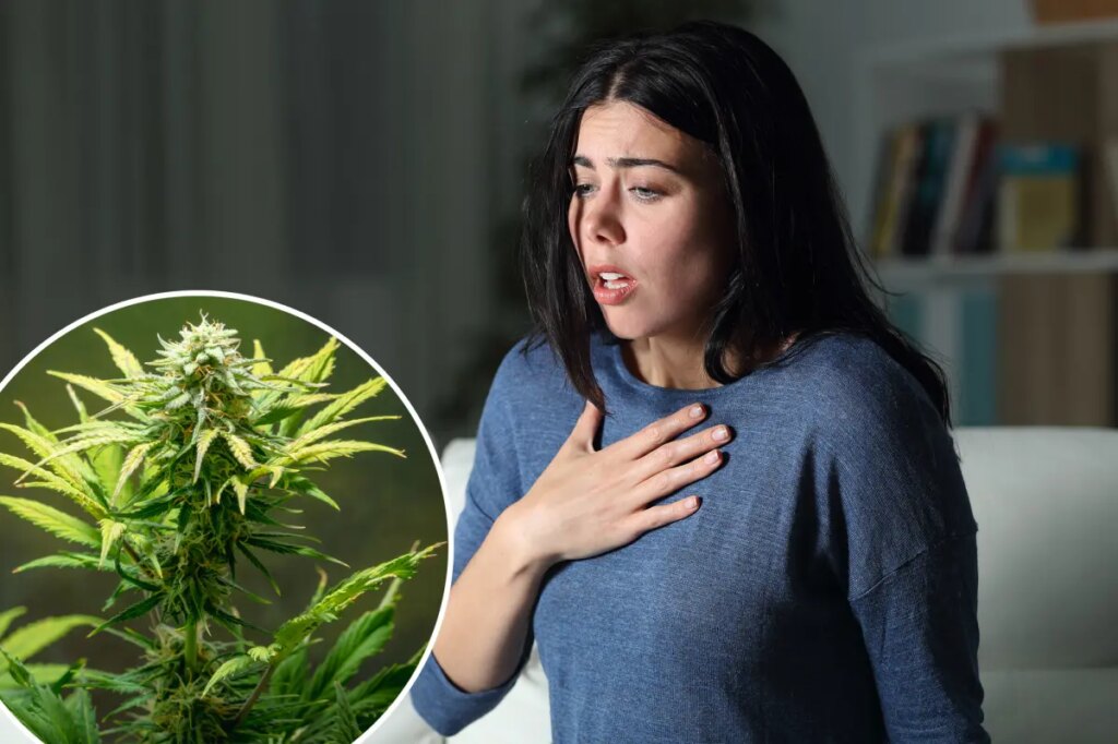 Link between cannabis and anxiety, depression has ‘strengthened over time’: new study