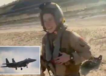 Purported video appears to show Kuwaitis thanking downed US pilot for battling Iran