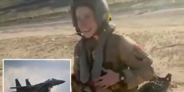 Purported video appears to show Kuwaitis thanking downed US pilot for battling Iran