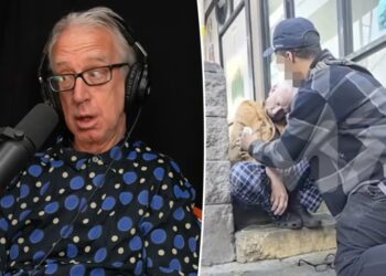 Troubled comedian Andy Dick has ‘five to seven holes’ in his brain after near-fatal drug overdose