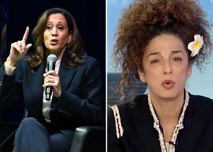 Iranian-American activist torches Kamala Harris: ‘Who are you?’