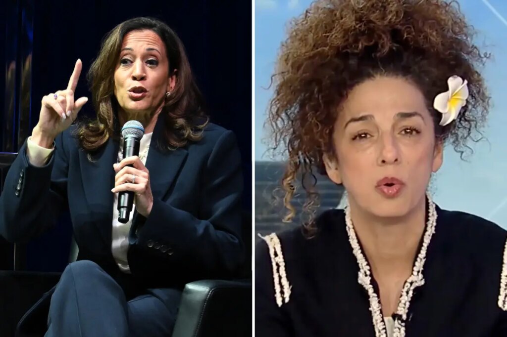 Iranian-American activist torches Kamala Harris: ‘Who are you?’