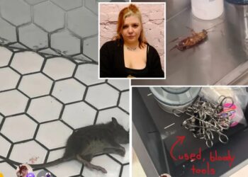 Tit for tat: Popular NYC tattoo biz sues ex-workers for calling out alleged dirty needles, rats, bedbugs
