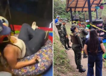 Mom ‘afraid’ to go down giant theme park slide dies after falling 15 feet: reports