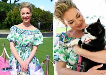Katherine Heigl hits back at fans politicizing her attendance at Mar-a-lago rescue event: ‘Animals don’t vote’