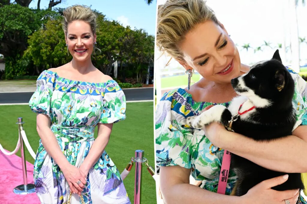 Katherine Heigl hits back at fans politicizing her attendance at Mar-a-lago rescue event: ‘Animals don’t vote’