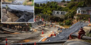 Mom’s cheap Rancho Palos Verdes mansion came with ocean views — and a horrifying catch