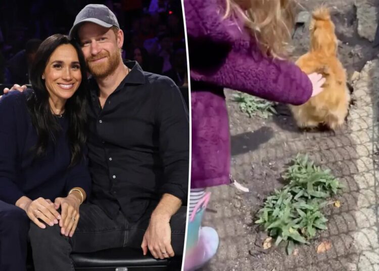 Meghan Markle gives a glimpse at home life with sweet new video of daughter Lilibet