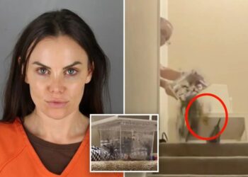 US Senate candidate convicted of tossing live tarantula into Airbnb in ‘Home Alone’-inspired harassment campaign