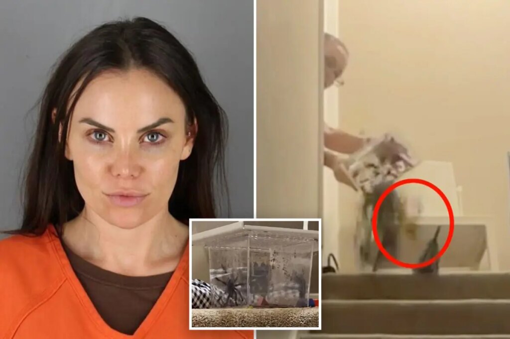 US Senate candidate convicted of tossing live tarantula into Airbnb in ‘Home Alone’-inspired harassment campaign