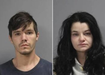 Owner of Texas animal rescue accused of starving 80 dogs in her care — more than 100 feared dead