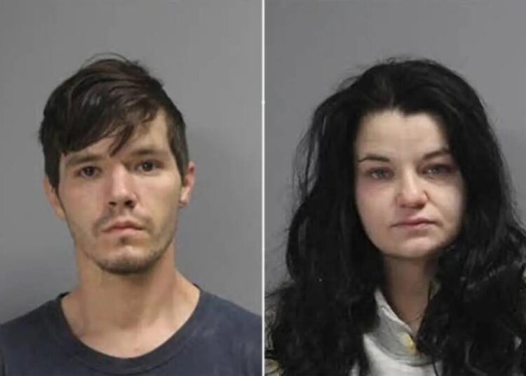 Owner of Texas animal rescue accused of starving 80 dogs in her care — more than 100 feared dead