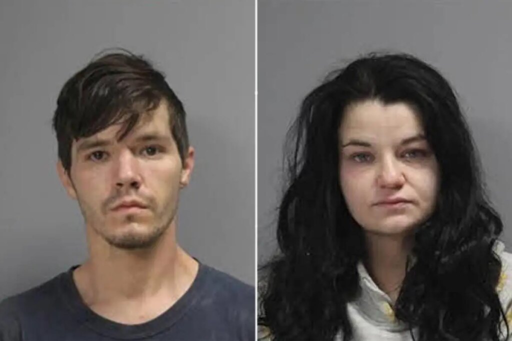 Owner of Texas animal rescue accused of starving 80 dogs in her care — more than 100 feared dead